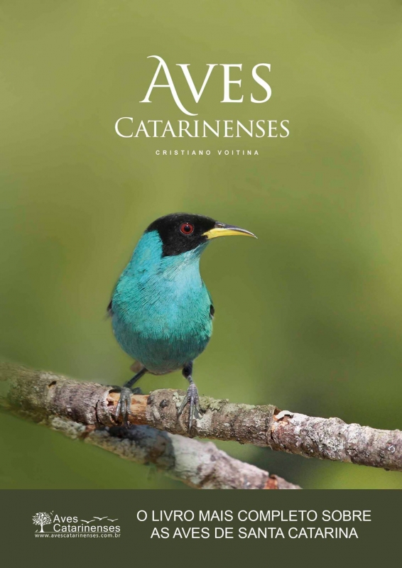 Aves Catarinenses de Cristiano Voitina - O livro mais completo sobre as aves de Santa Catarina